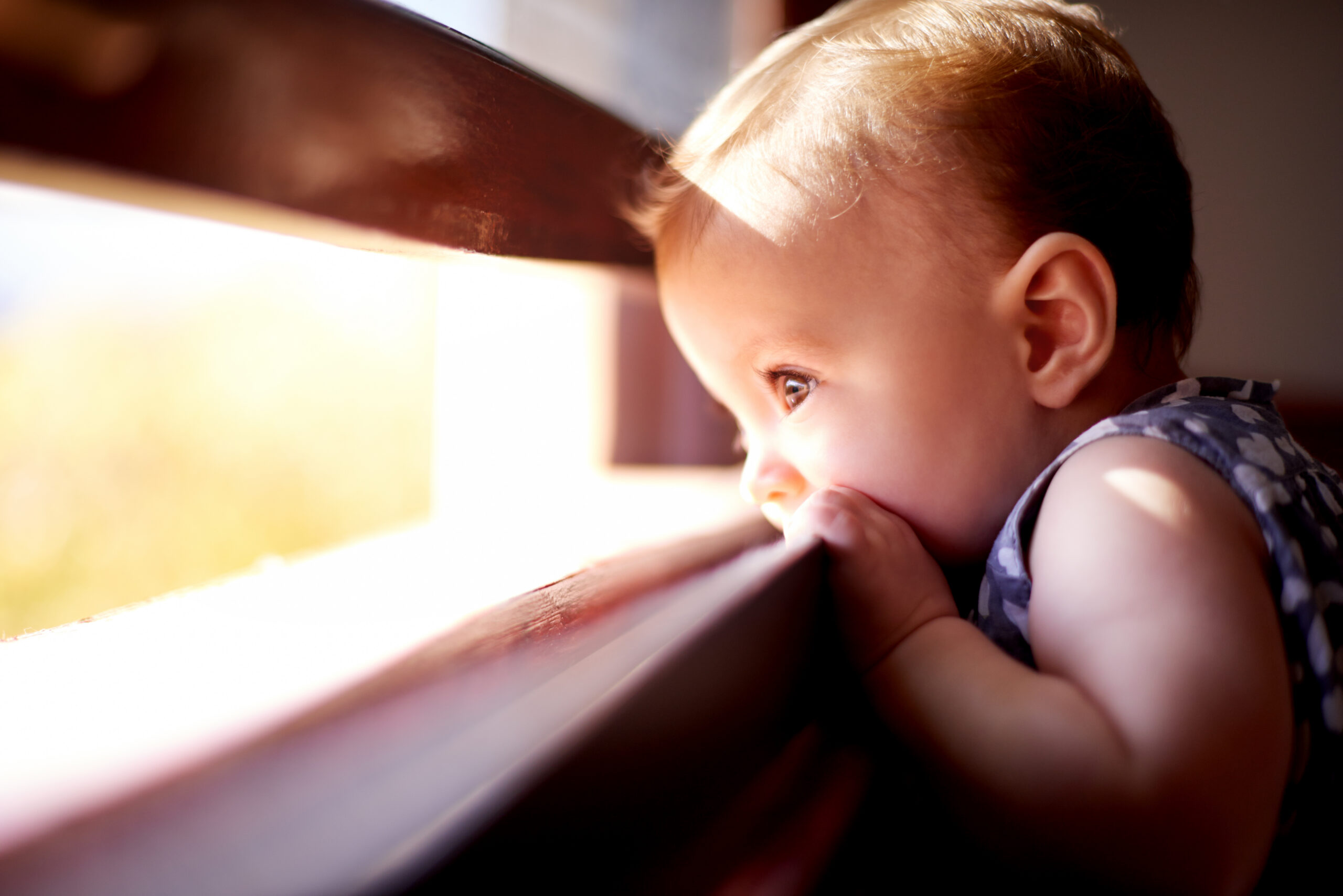 A baby looks out of a window